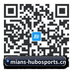 系统版 iOS 二维码